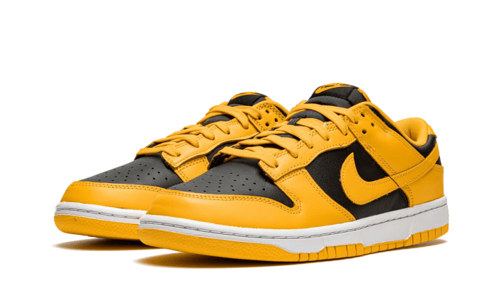 Nike Goldenrod - Retro View | DripMilan Shop